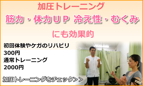 矢切中央整骨院 松戸市 加圧トレーニング 整体 ４スタンス理論の矢切中央整骨院 松戸市